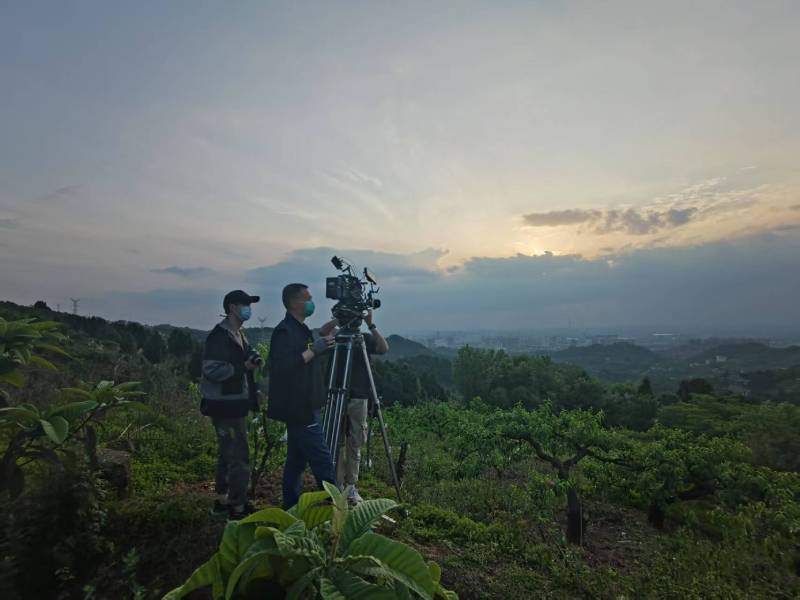 创意破圈！剑阁县电商产品宣传视频用故事化叙事引爆流量
